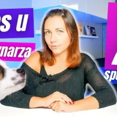 Jak zwracać się do weterynarza, by uniknąć niezręcznych sytuacji?