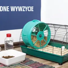 Klatka chomika z kołowrotkiem i akcesoriami. Dowiedz się, co ile trzeba sprzątać klatkę chomika, by zapewnić mu czystość i komfort.