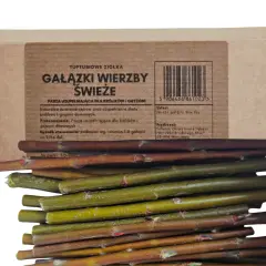 Gałązki wierzby świeże, idealne dla królików i gryzoni. Naturalne ścieranie zębów i uzupełnienie diety. Czy królik może jeść gałązki wierzby? Tak, to świetny przysmak!