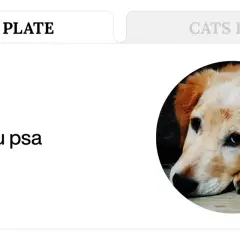 Jak sprawdzić czy pies ma gorączkę bez termometru? Zobacz, jak rozpoznać objawy u swojego pupila.