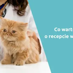 Czy weterynarz może wypisać receptę dla człowieka? Odpowiedź, która zaskakuje