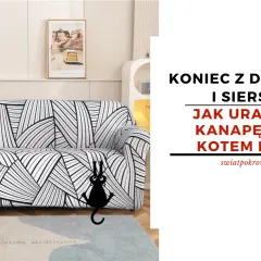 Czarny piesek i kotek drapią kanapę. Dowiedz się, dlaczego pies drapie kanapę i jak uratować meble przed zwierzętami.