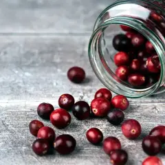 Czy pies może jeść suszoną żurawinę? Sprawdź, co musisz wiedzieć