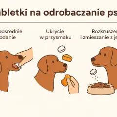Ilustracja pokazuje trzy sposoby podania psu tabletek na odrobaczenie: bezpośrednio, ukryte w przysmaku lub rozkruszone w jedzeniu.
