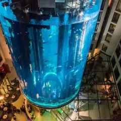 AquaDom oceanarium Berlin - odkryj największe akwarium w Europie