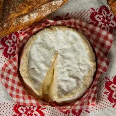 Czy pies może jeść ser camembert? Sprawdź ryzyko i zasady dawkowania