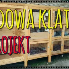 Jak zbudować klatki dla królików - proste kroki i niezbędne materiały
