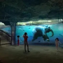 Największe oceanarium w Polsce Łódź – Niezapomniane atrakcje i doświadczenia