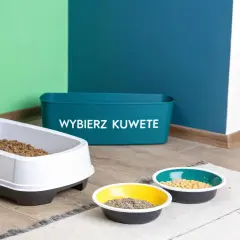 Kot przygląda się kuwecie z żwirkiem. Obok stoją miseczki z karmą. Pamiętaj, jak dbać o kuwetę kota, by był czysty i zdrowy.