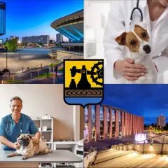 Wesoły weterynarz z mopsikiem i pieskiem. Dowiedz się, ile kosztuje wizyta z kotem u weterynarza.