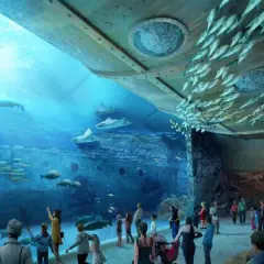 Godziny otwarcia oceanarium w Ustce - nie przegap wizyty!