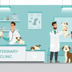 Czy weterynarz to doktor? Poznaj różnice i tytuły w weterynarii