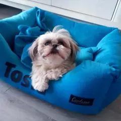 Jakie legowisko dla shih tzu wybrać, aby zapewnić mu komfort?