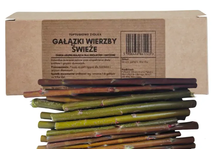 Gałązki wierzby świeże, idealne dla królików i gryzoni. Naturalne ścieranie zębów i uzupełnienie diety. Czy królik może jeść gałązki wierzby? Tak, to świetny przysmak!