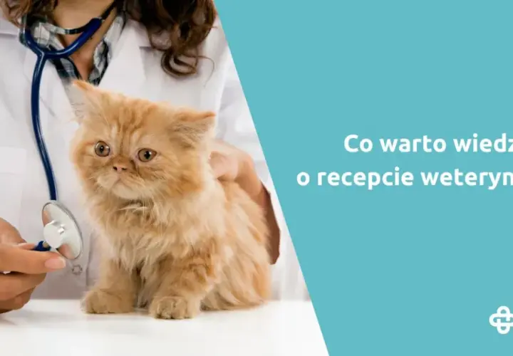 Czy weterynarz może wypisać receptę dla człowieka? Odpowiedź, która zaskakuje