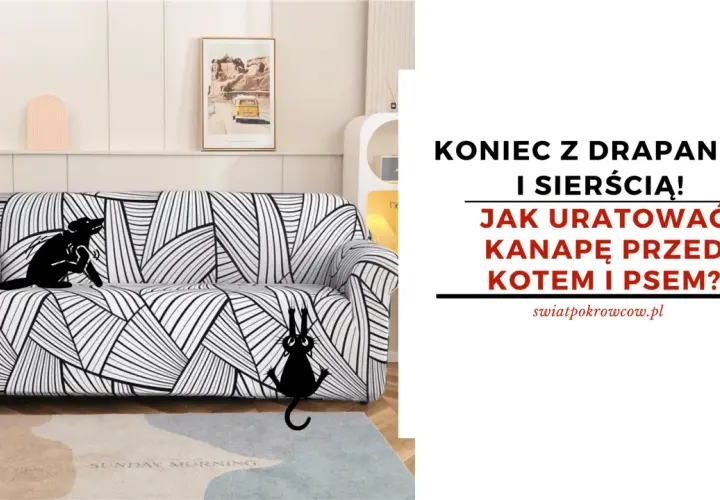 Czarny piesek i kotek drapią kanapę. Dowiedz się, dlaczego pies drapie kanapę i jak uratować meble przed zwierzętami.