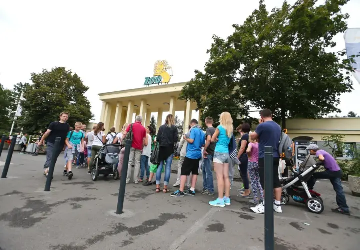 Kolejka do zoo. Zastanawiasz się, ile zarabia zoolog? Ludzie czekają na wejście, by zobaczyć zwierzęta.