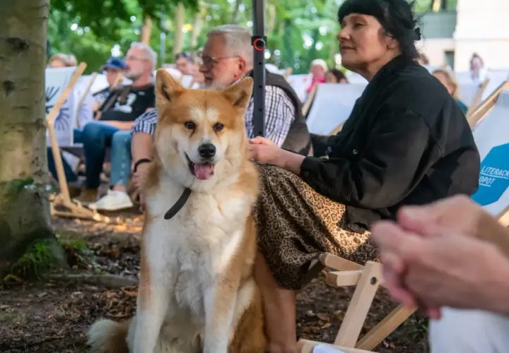Pies rasy Akita siedzi na zewnątrz, obok kobiety. Czy pies może jeść drożdże? To pytanie nurtuje wielu właścicieli czworonogów.