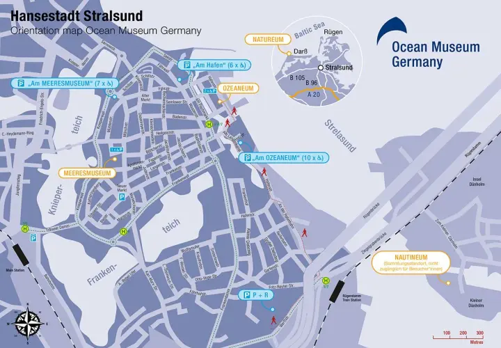 Stralsund oceanarium – fascynujący świat morskich tajemnic i atrakcji