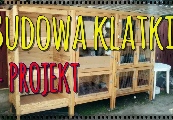 Jak zbudować klatki dla królików - proste kroki i niezbędne materiały