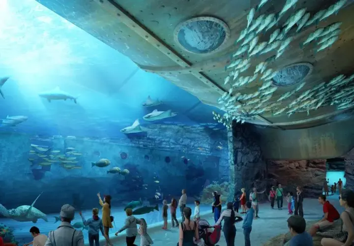 Godziny otwarcia oceanarium w Ustce - nie przegap wizyty!