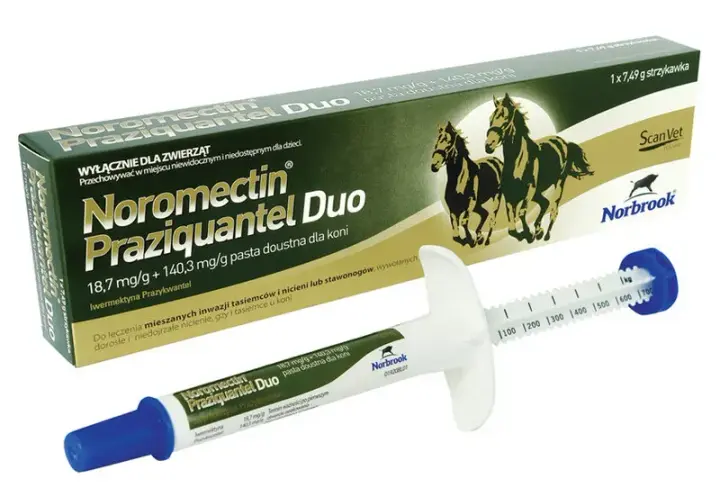 Odrobaczanie konia przed czy po jedzeniu – co wybrać dla zdrowia?