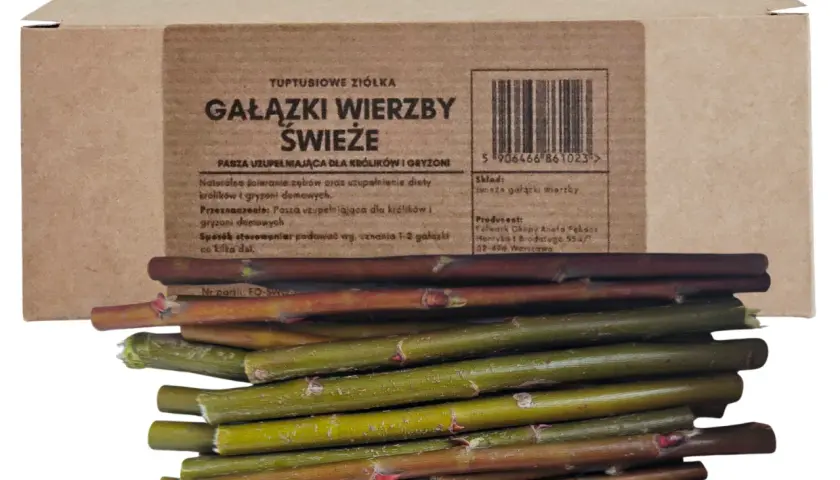 Gałązki wierzby świeże, idealne dla królików i gryzoni. Naturalne ścieranie zębów i uzupełnienie diety. Czy królik może jeść gałązki wierzby? Tak, to świetny przysmak!