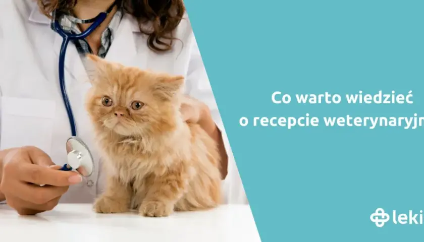 Czy weterynarz może wypisać receptę dla człowieka? Odpowiedź, która zaskakuje