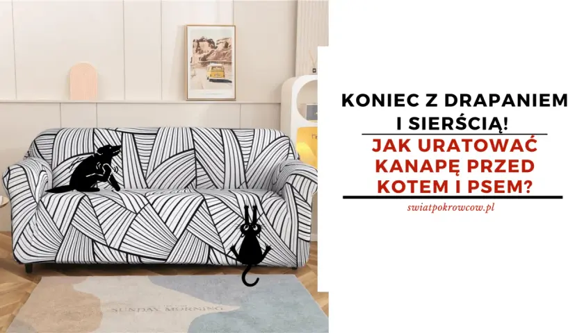 Czarny piesek i kotek drapią kanapę. Dowiedz się, dlaczego pies drapie kanapę i jak uratować meble przed zwierzętami.