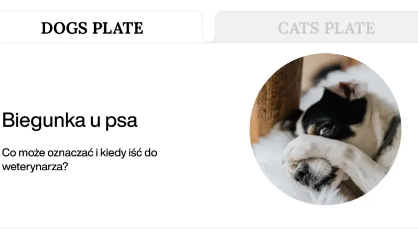 Czy po tabletce na odrobaczenie pies może mieć biegunkę? Piesek z czarnymi łatami na białym futerku leży, zasłaniając oczy łapką.