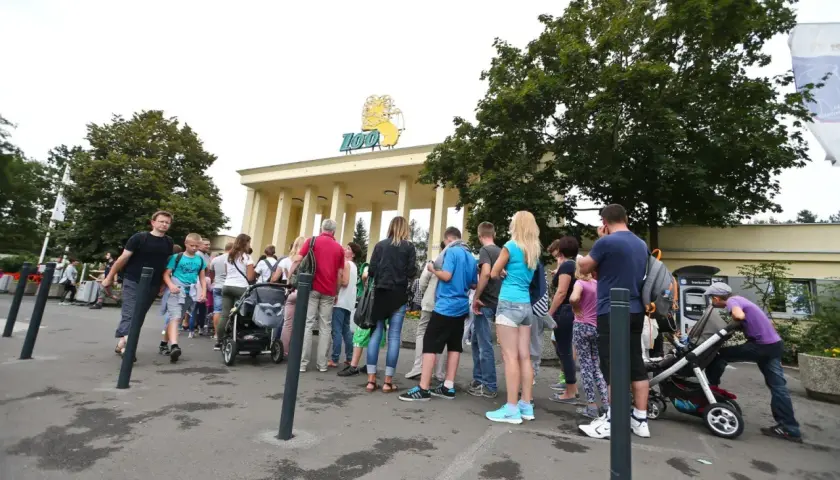 Kolejka do zoo. Zastanawiasz się, ile zarabia zoolog? Ludzie czekają na wejście, by zobaczyć zwierzęta.