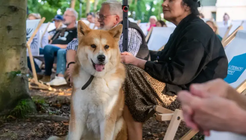 Pies rasy Akita siedzi na zewnątrz, obok kobiety. Czy pies może jeść drożdże? To pytanie nurtuje wielu właścicieli czworonogów.