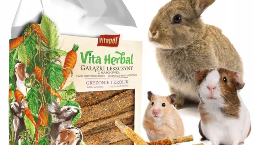 Gałązki dla królika od kiedy? Bezpieczne terminy i rodzaje do zbioru