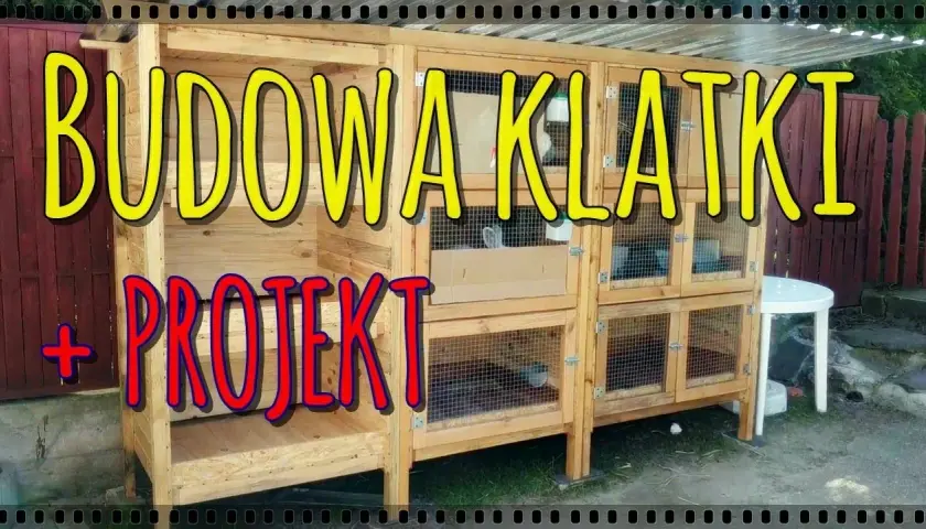 Jak zbudować klatki dla królików - proste kroki i niezbędne materiały