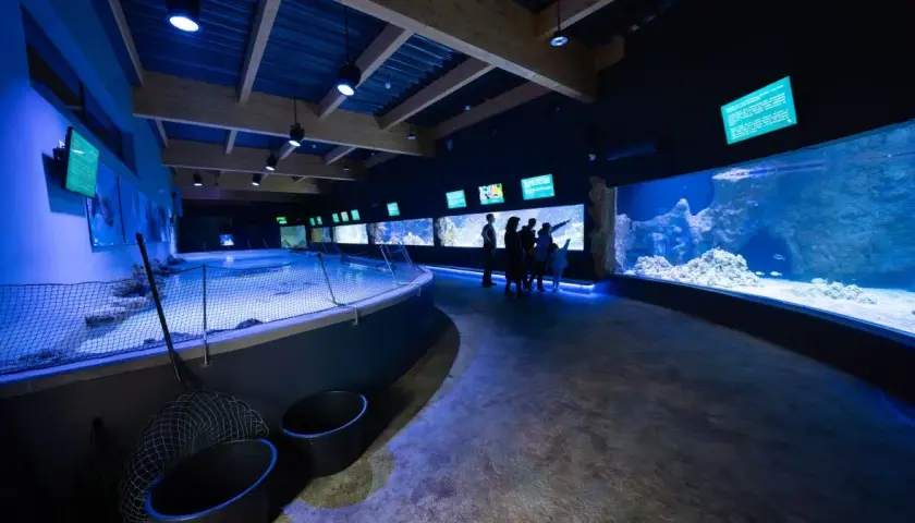 Oceanarium Opole - odkryj niesamowity świat morskich stworzeń