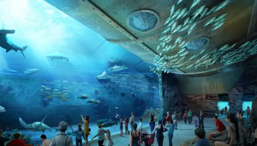 Godziny otwarcia oceanarium w Ustce - nie przegap wizyty!
