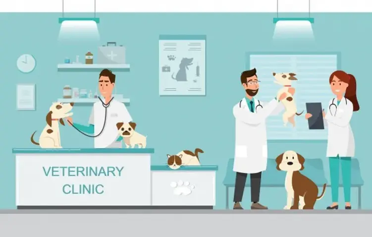 Czy weterynarz to doktor? Poznaj różnice i tytuły w weterynarii