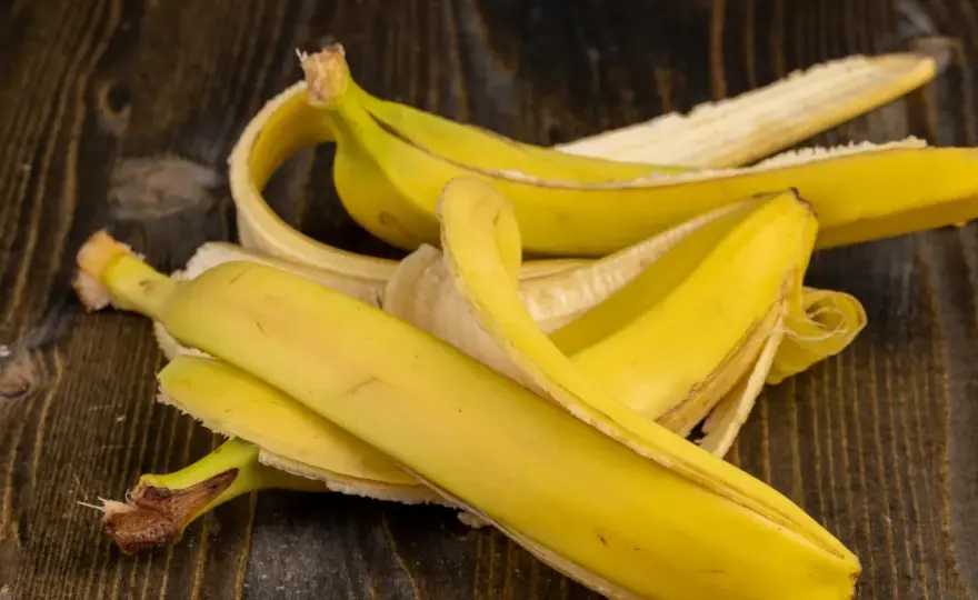 Dlaczego koty boją się bananów? Poznaj przyczyny i mity