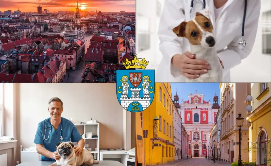 Ile kosztuje weterynarz dla psa? Poznaj pełny cennik i porady