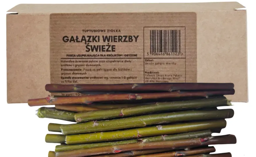 Czy królik może jeść gałązki wierzby? Sprawdź, jak podawać!