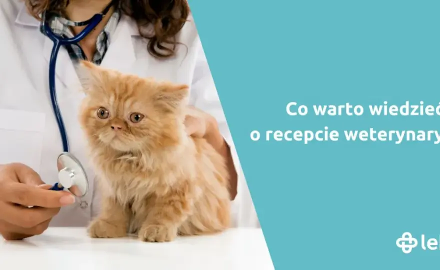 Czy weterynarz może wypisać receptę dla człowieka? Odpowiedź, która zaskakuje