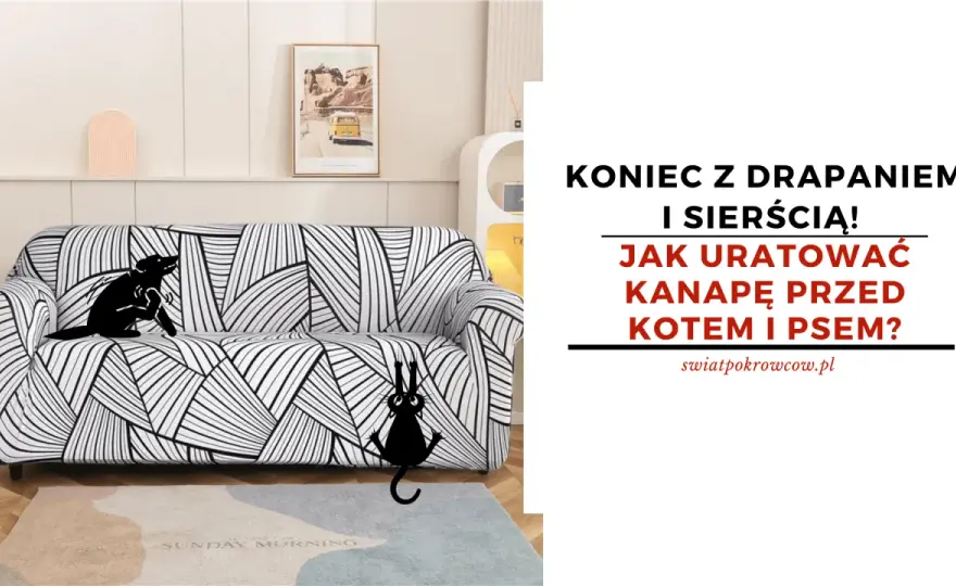 Dlaczego pies drapie kanapę? Poznaj przyczyny i skuteczne rozwiązania