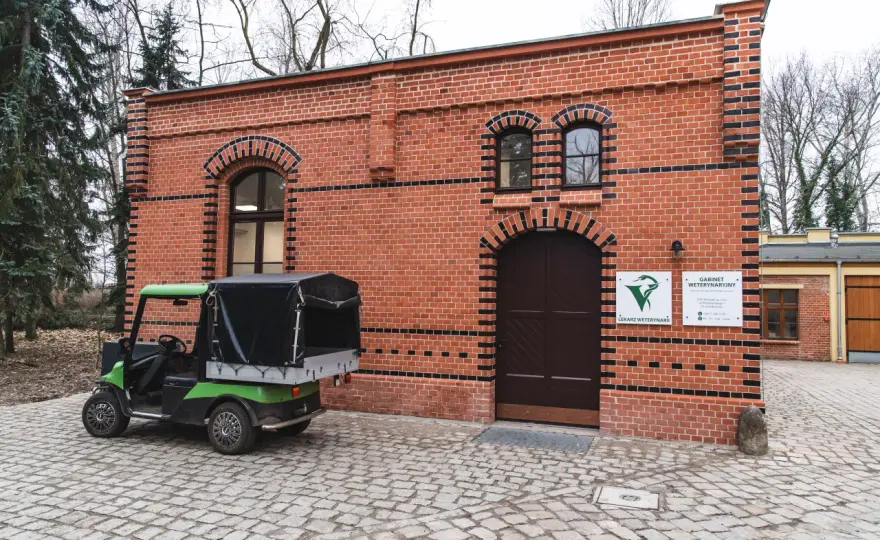 Ile zarabia weterynarz w zoo? Zaskakujące fakty o wynagrodzeniach