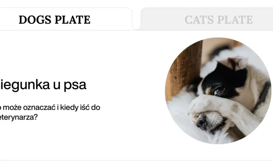 Biegunka po odrobaczeniu psa? Kiedy martwić się u weterynarza