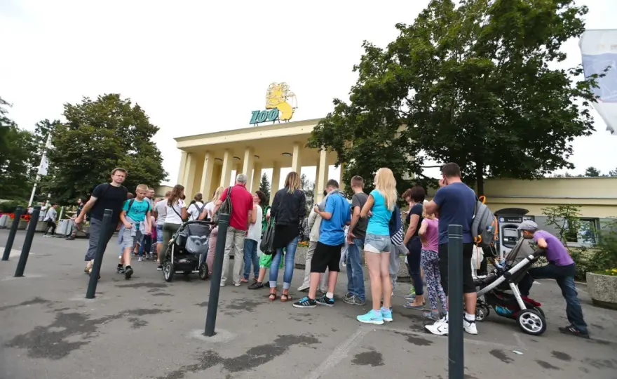 Ile zarabia zoolog w Polsce? Sprawdź stawki i czynniki