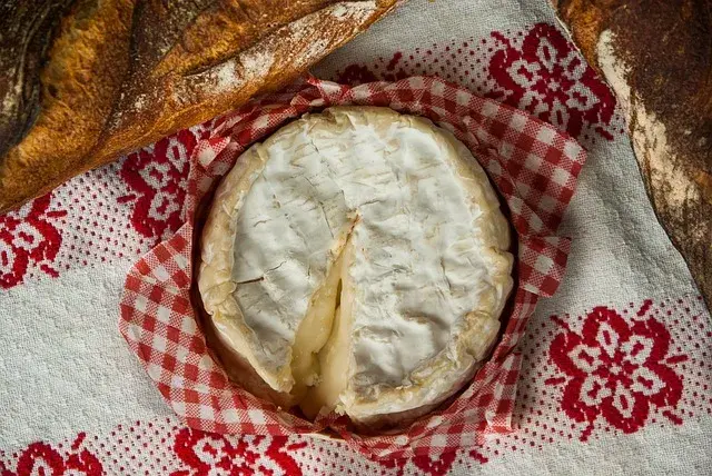 Czy pies może jeść ser camembert? Sprawdź ryzyko i zasady dawkowania