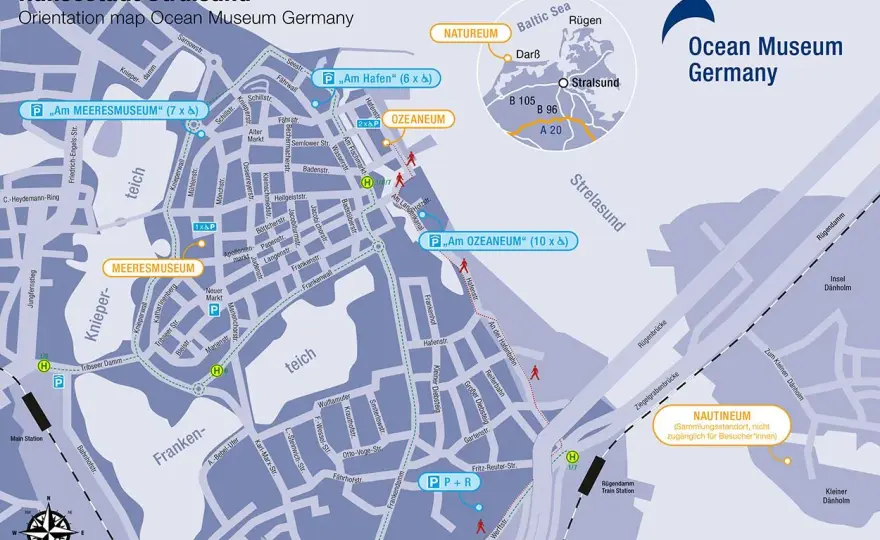 Stralsund oceanarium – fascynujący świat morskich tajemnic i atrakcji