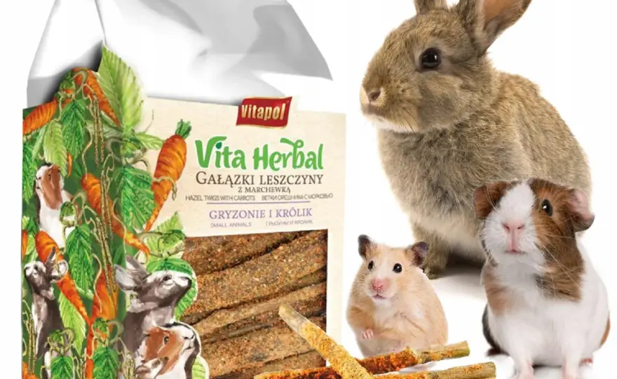 Gałązki dla królika od kiedy? Bezpieczne terminy i rodzaje do zbioru