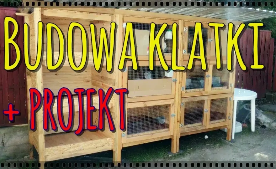 Jak zbudować klatki dla królików - proste kroki i niezbędne materiały