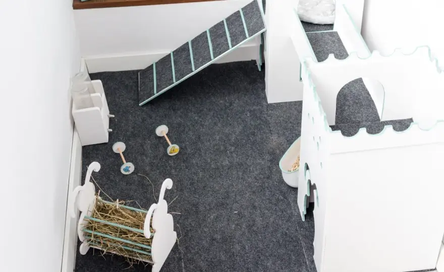 Jak zrobić domek dla królika do klatki - proste kroki i porady